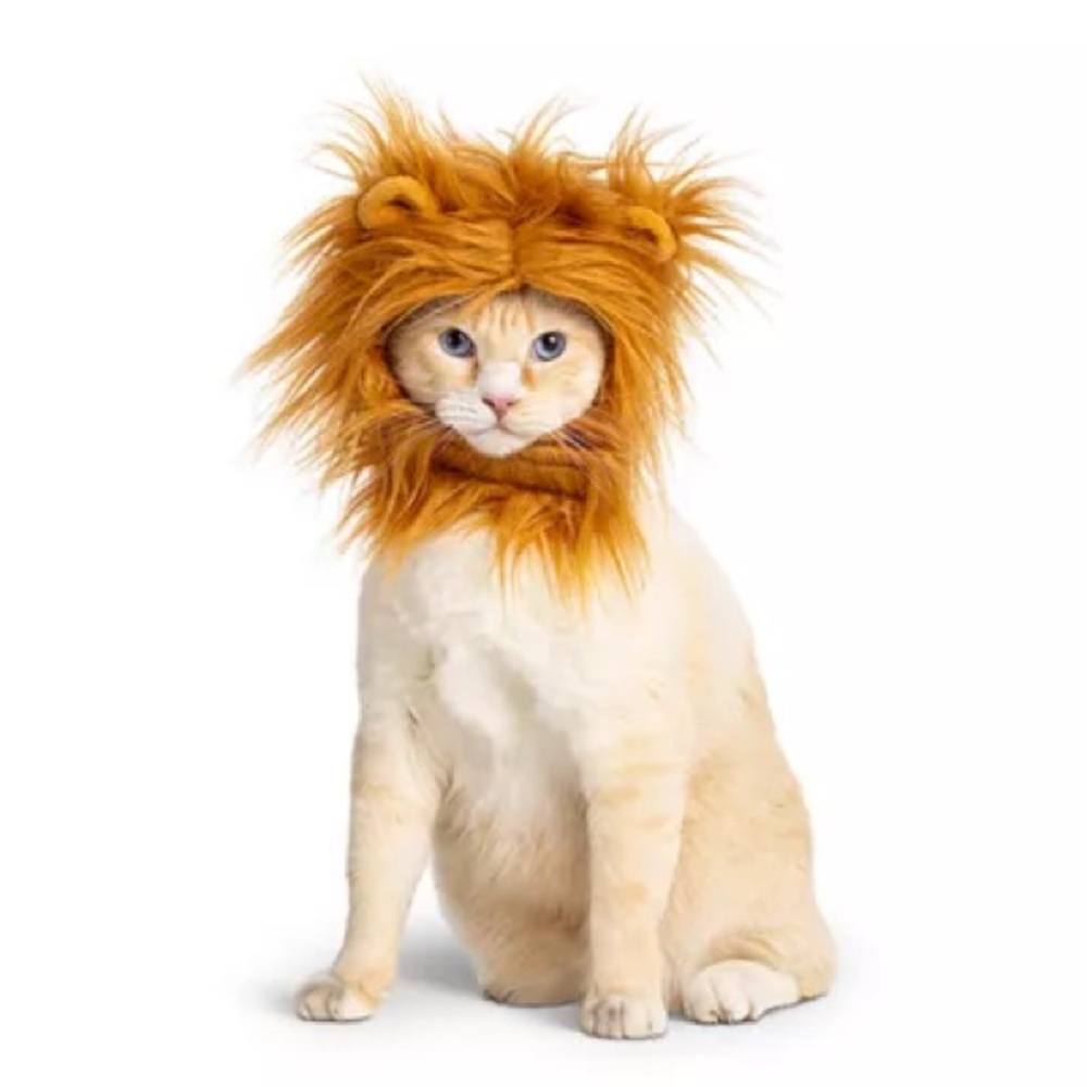 PetSmart Thrills & Chills Lion Mane Pet Costume Dog Cat Headpiece L/XL - Picture 3 of 6